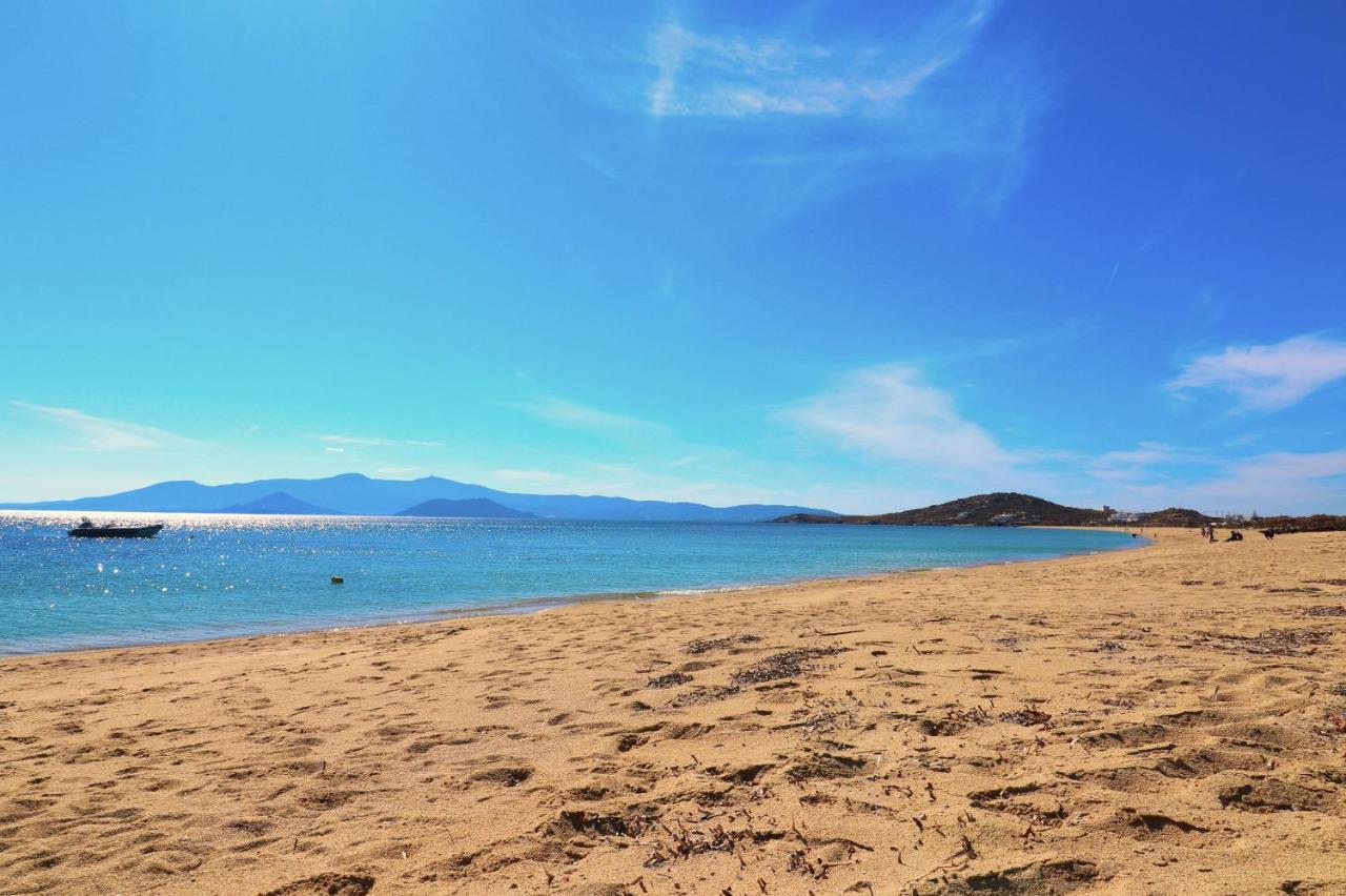 Beach Apartment Thalia With Hot Tub And Sea View アギオス・プロコピオス エクステリア 写真
